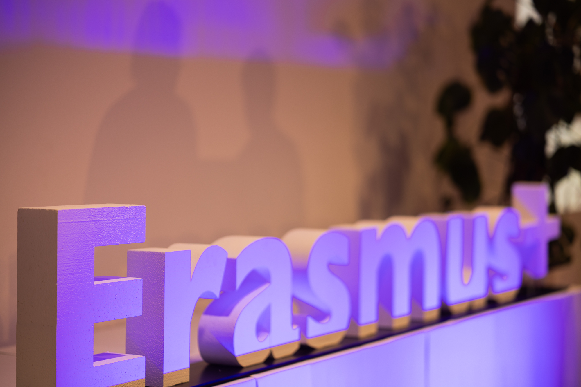 54022501866_8fbc0a52d5_o-1 Actuaciones ERASMUS+